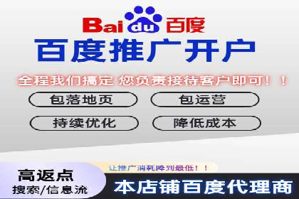 百度竞价广告的创意执行：成功案例详解